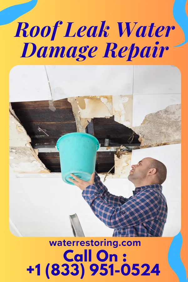 Roof Leak Water Damage Repair in Lisbon, IL