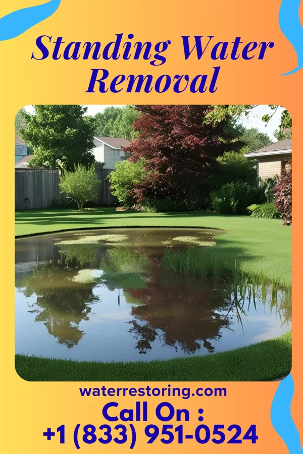Standing Water Removal in Lisbon, IL